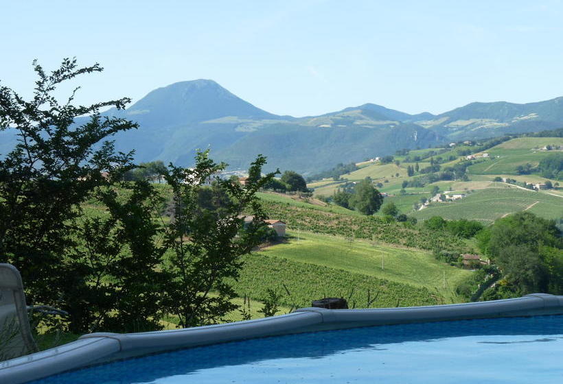 Bed and Breakfast La Girandola  | Cupramontana | Ancona | Italia 15