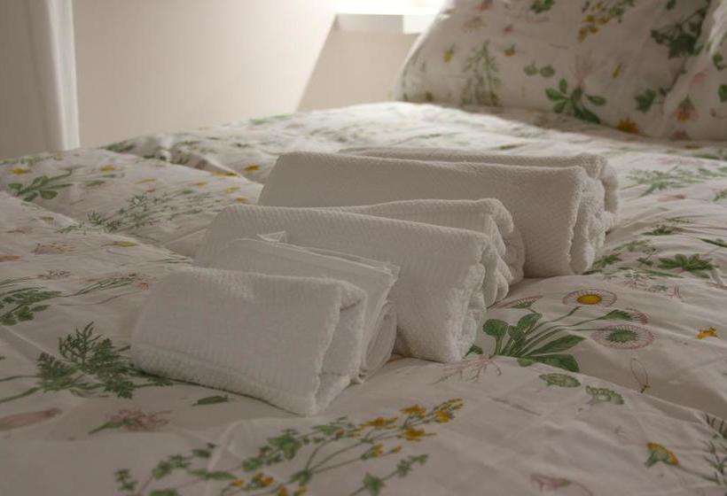 Bed and Breakfast Vaticandays  | Roma | Roma | Italia 16