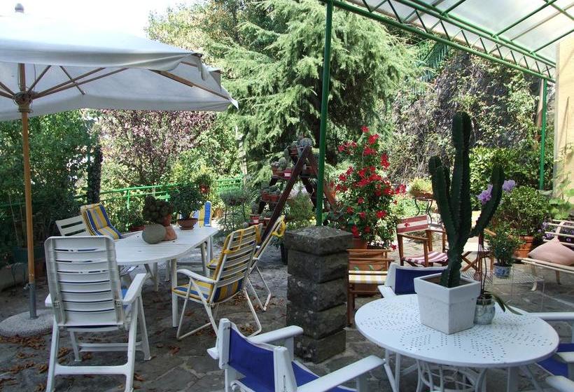 Hotel Villa Patrizia  | Cutigliano | Pistoia | Italia 15
