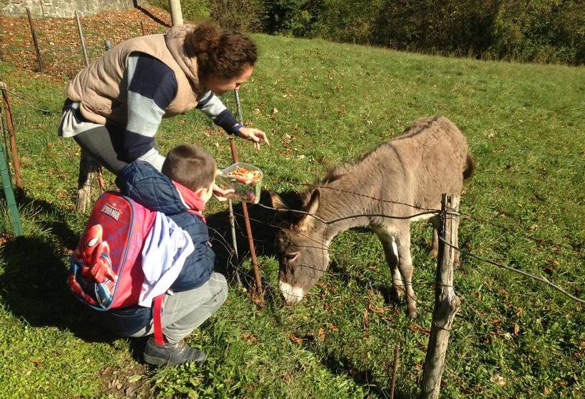 Hotel Villa Patrizia  | Cutigliano | Pistoia | Italia 8