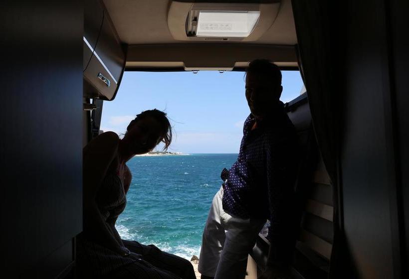 Bed and Breakfast Wild Adventures Whatever Whenever Bari