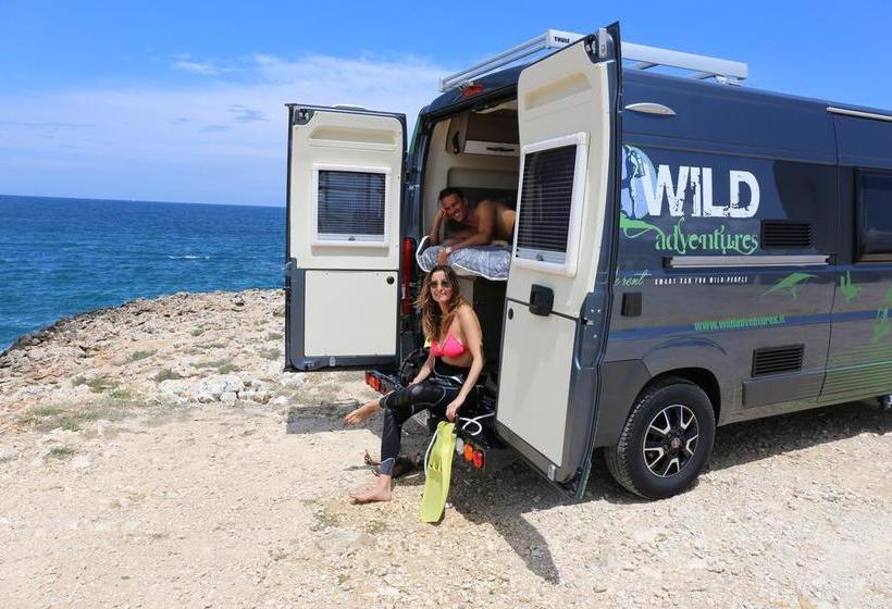Bed and Breakfast Wild Adventures Whatever Whenever  | Bari | Bari | Italia 1