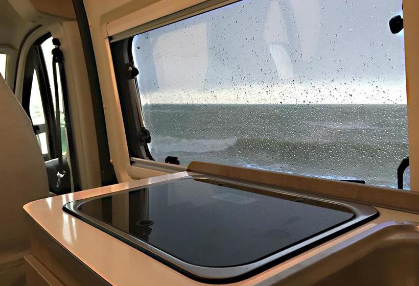 Bed and Breakfast Wild Adventures Whatever Whenever  | Bari | Bari | Italia 11