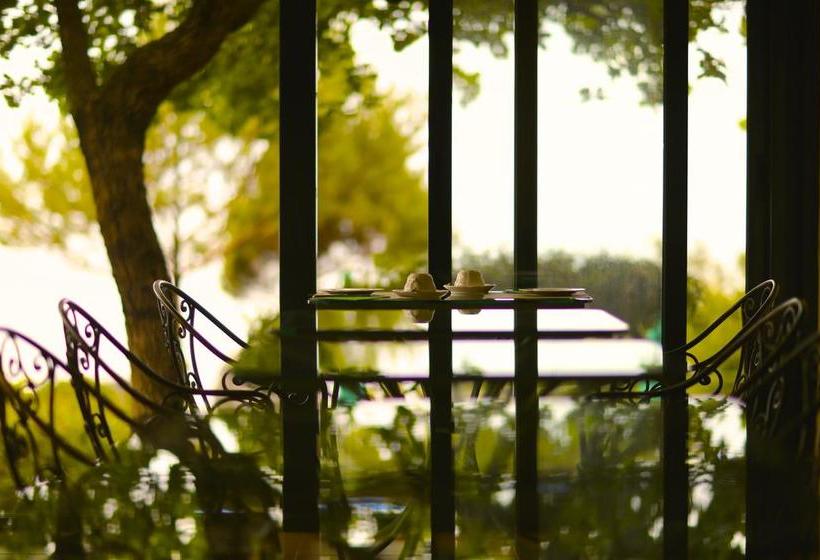 Hotel Illicini  | Maratea | Potenza | Italia 1