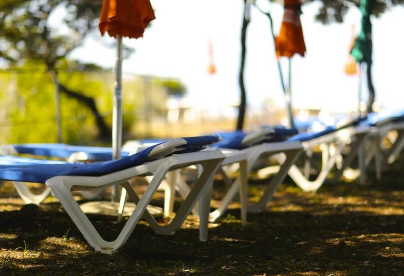 Hotel Illicini  | Maratea | Potenza | Italia 13