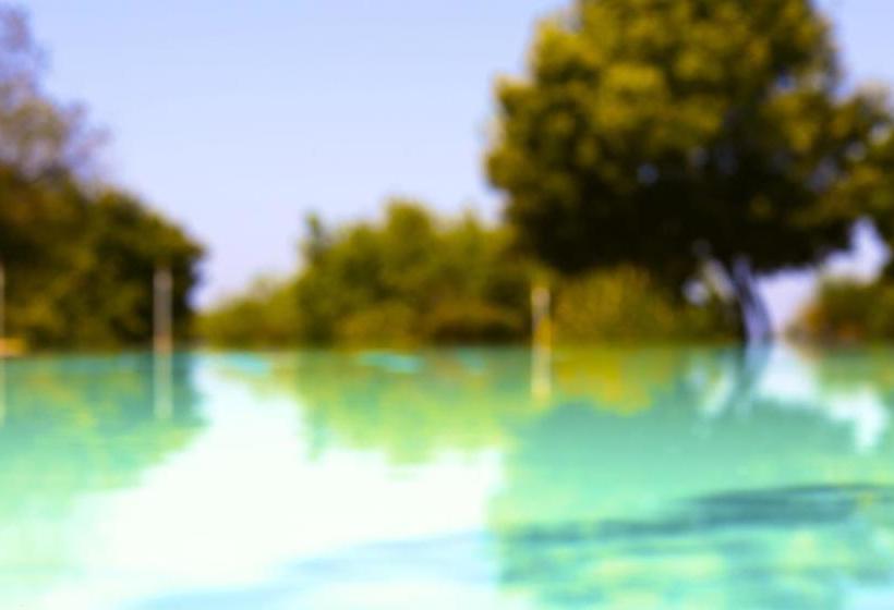 Hotel Illicini  | Maratea | Potenza | Italia 6