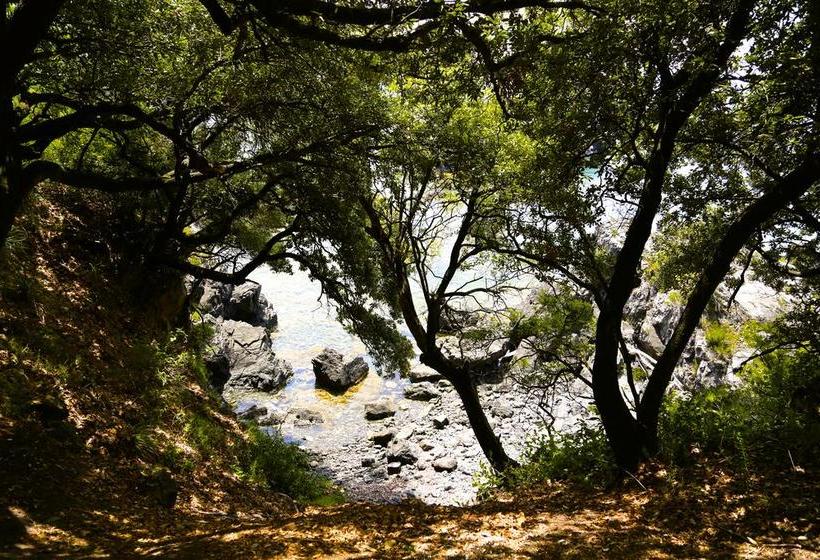 Hotel Illicini  | Maratea | Potenza | Italia 8