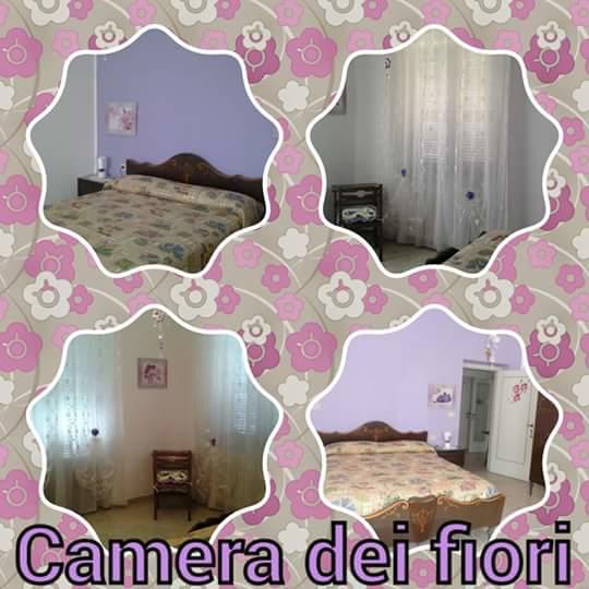 B&b Zia Elvira  | San Benedetto del Tronto | Ascoli Piceno | Italia 20