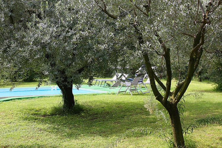 Bed and Breakfast San Giorgio Lazise  | Lazise | Verona | Italia 20