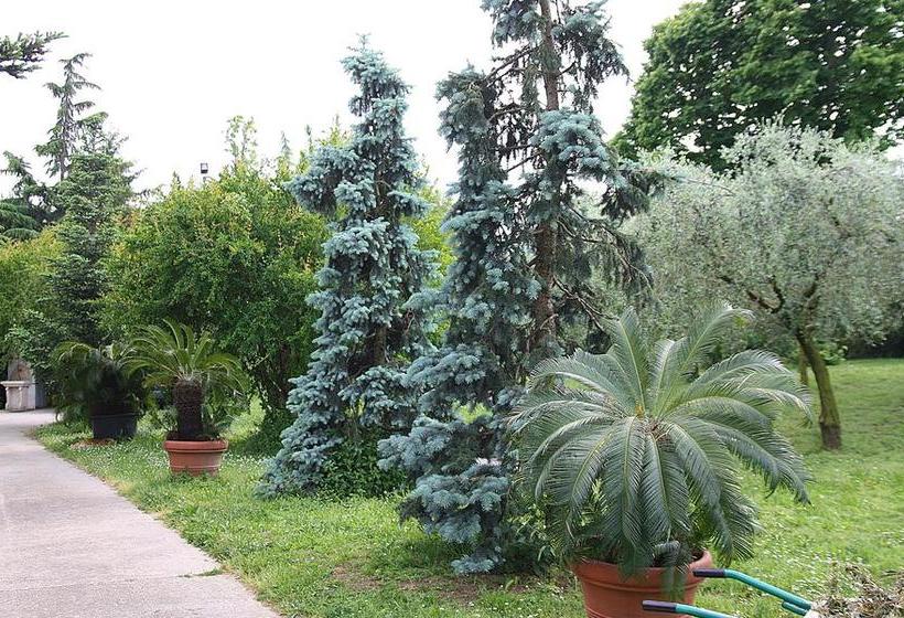 Bed and Breakfast San Giorgio Lazise  | Lazise | Verona | Italia 8