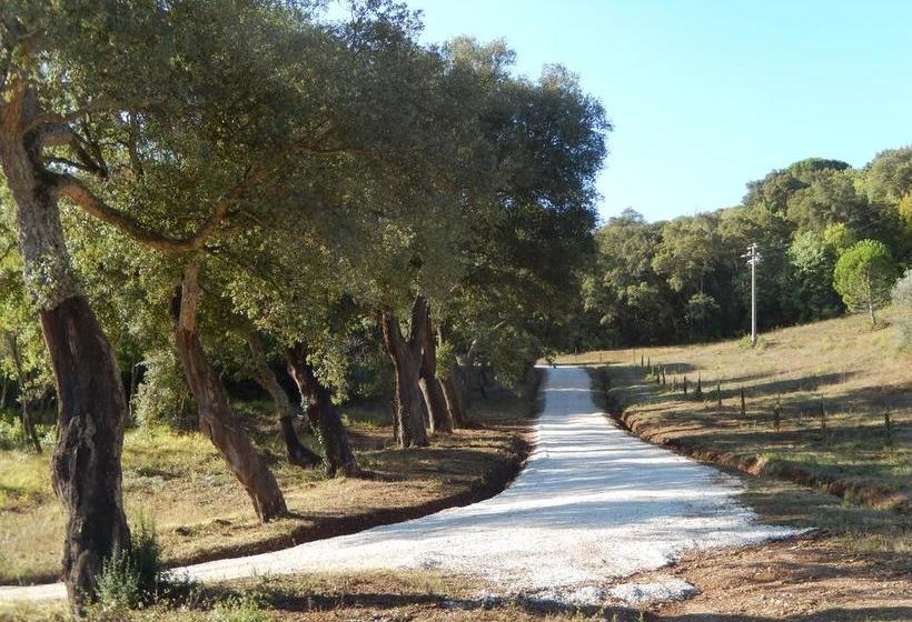 Bed and Breakfast Agriturismo Le Foreste  | Suvereto | Livorno | Italia 14