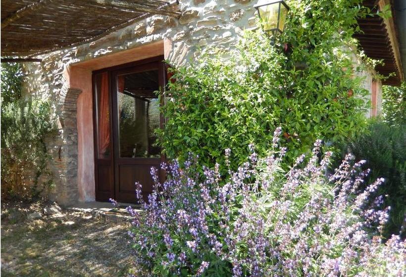 Bed and Breakfast Agriturismo Le Foreste  | Suvereto | Livorno | Italia 15