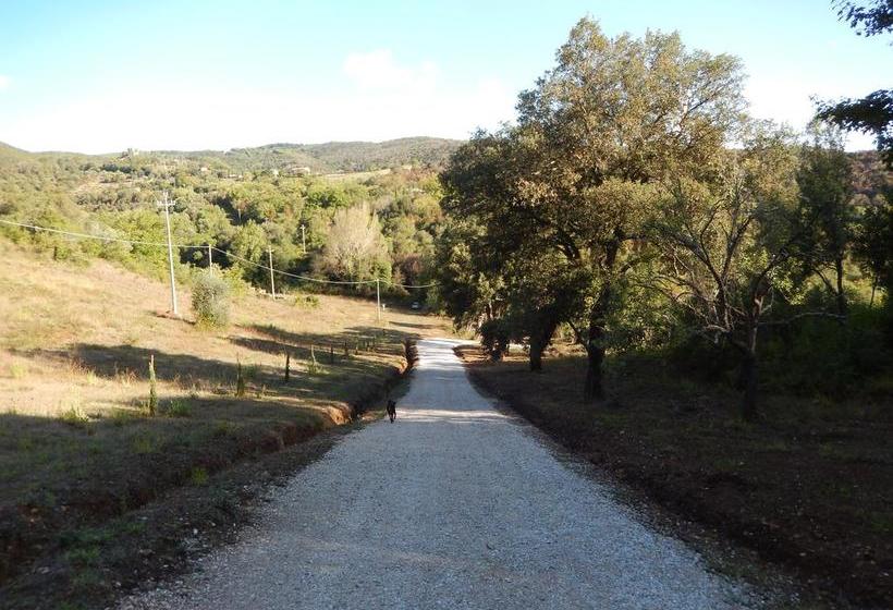 Bed and Breakfast Agriturismo Le Foreste  | Suvereto | Livorno | Italia 7