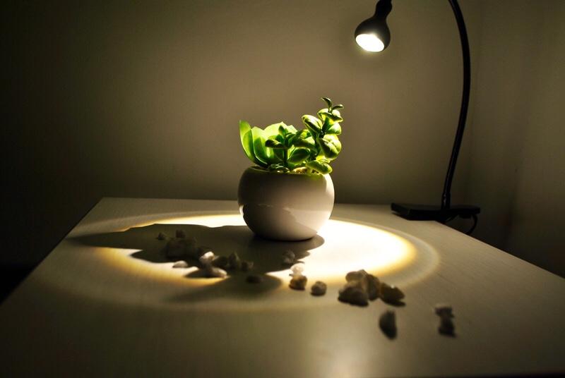 B&b Scilla Mare  | Scilla | Reggio Calabria | Italia 14