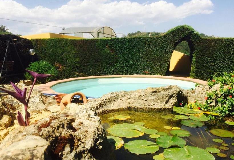 B&b Agave 64  | Piazza Armerina | Enna | Italia 1