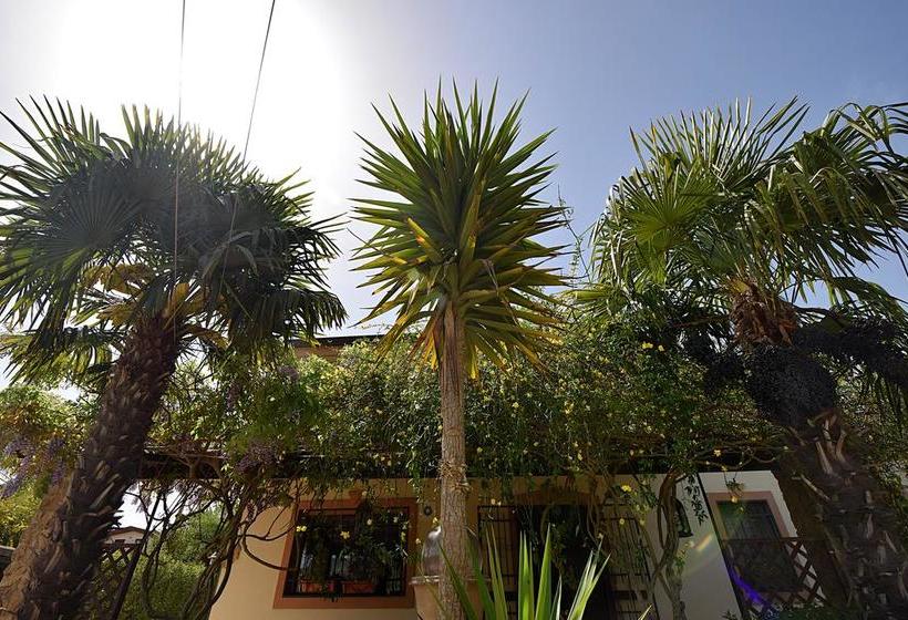 B&b Agave 64  | Piazza Armerina | Enna | Italia 11