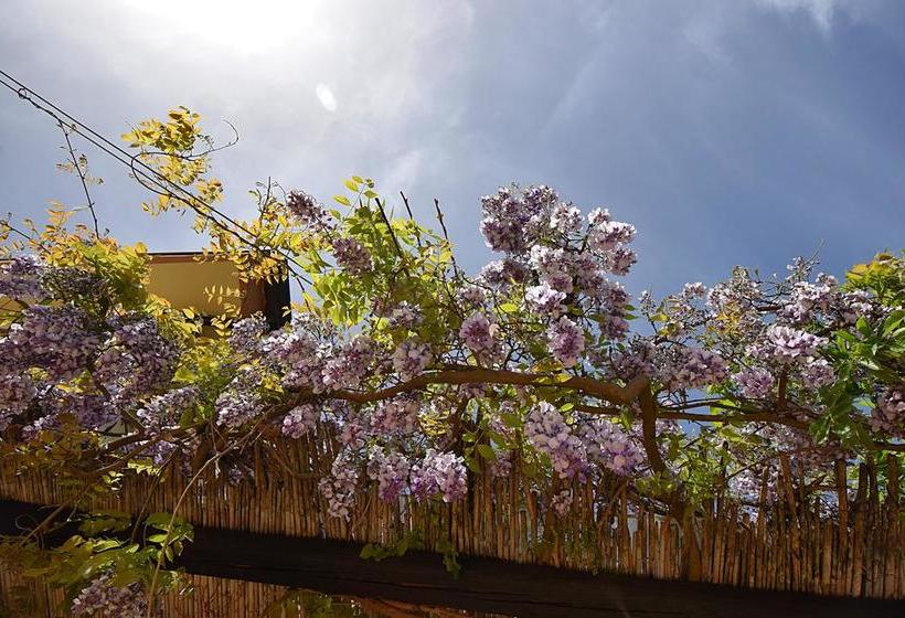 B&b Agave 64  | Piazza Armerina | Enna | Italia 7