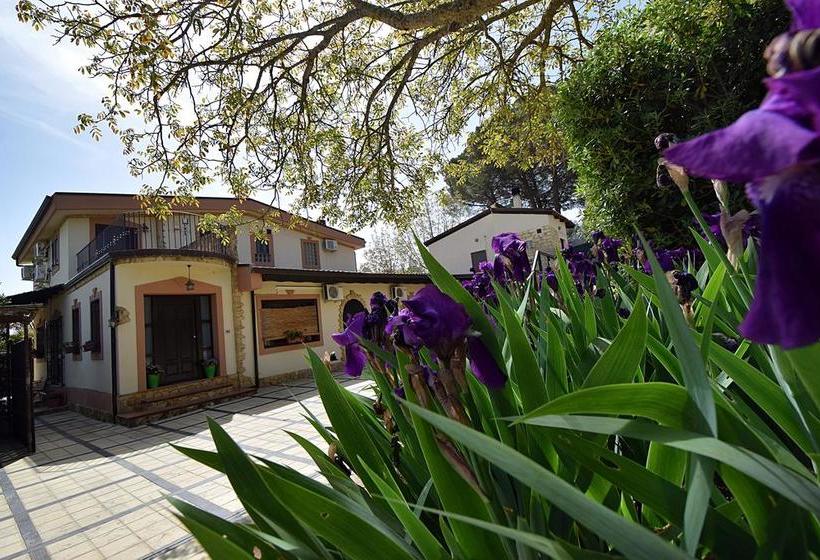 B&b Agave 64  | Piazza Armerina | Enna | Italia 9