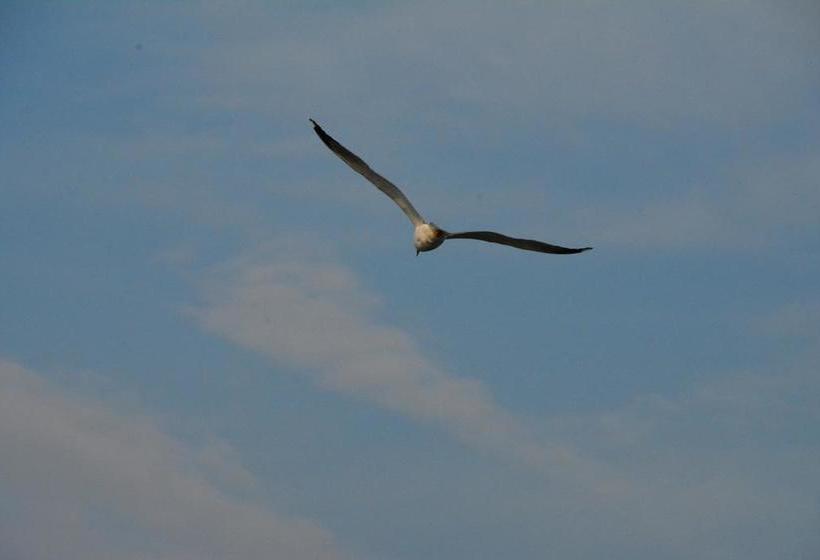 B&b Albatros  | San Benedetto del Tronto | Ascoli Piceno | Italia 14