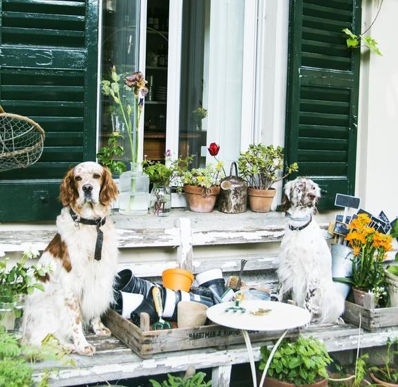 Bed and Breakfast Villa Derrière  | Cernobbio | Como | Italia 14