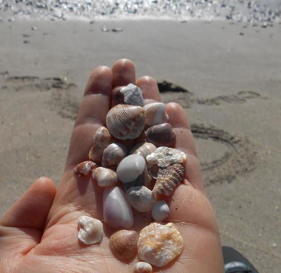 Bed & Breakfast I Girasoli  | Tortoli | Sardinia | Italien 11