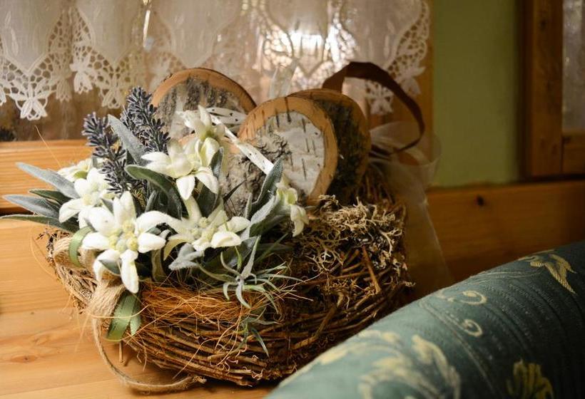 Hotel Abete Bianco  | Andalo | Trento | Italia 5