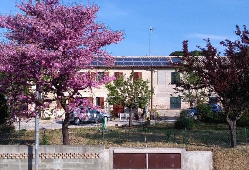 Bed and Breakfast Casa Sgaria