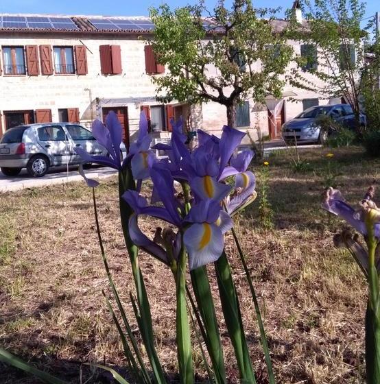 Bed and Breakfast Casa Sgaria  | Fano | Pesaro e Urbino | Italia 13