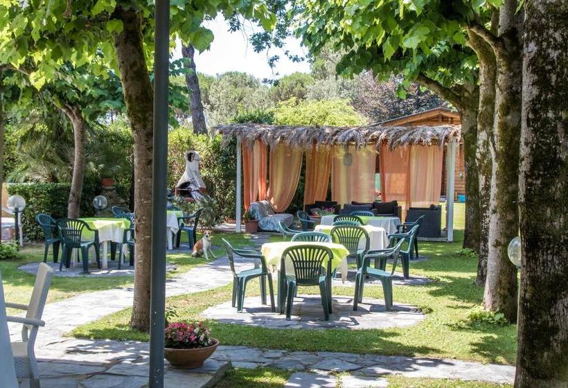 Hotel Villa Olga  | Marina di Massa | Massa Carrara | Italia 1