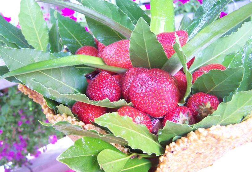 Hotel 2000  | Rimini | Rimini | Italy 18