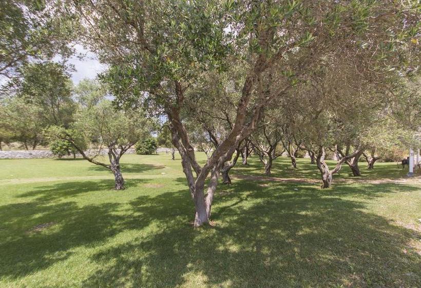 Bed and Breakfast Rosa Dei Venti  | Santa Cesarea Terme | Lecce | Italia 7