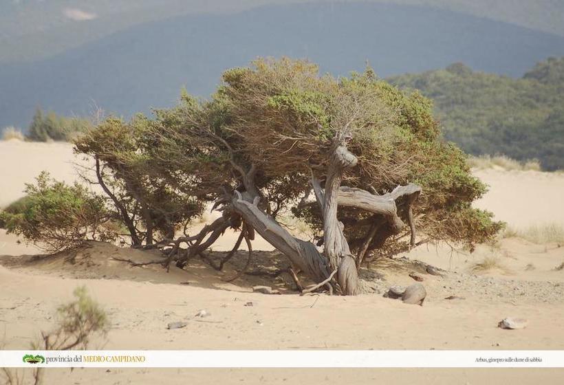Bed and Breakfast Il Pozzo Dei Desideri  | Arbus | Sardegna | Italia 1