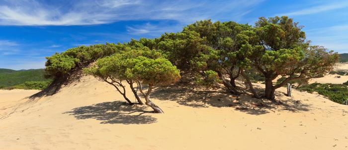 Bed and Breakfast Il Pozzo Dei Desideri  | Arbus | Sardegna | Italia 7