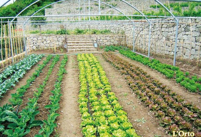 Hotel Villa Flavio  | Ischia | Napoli | Italia 1