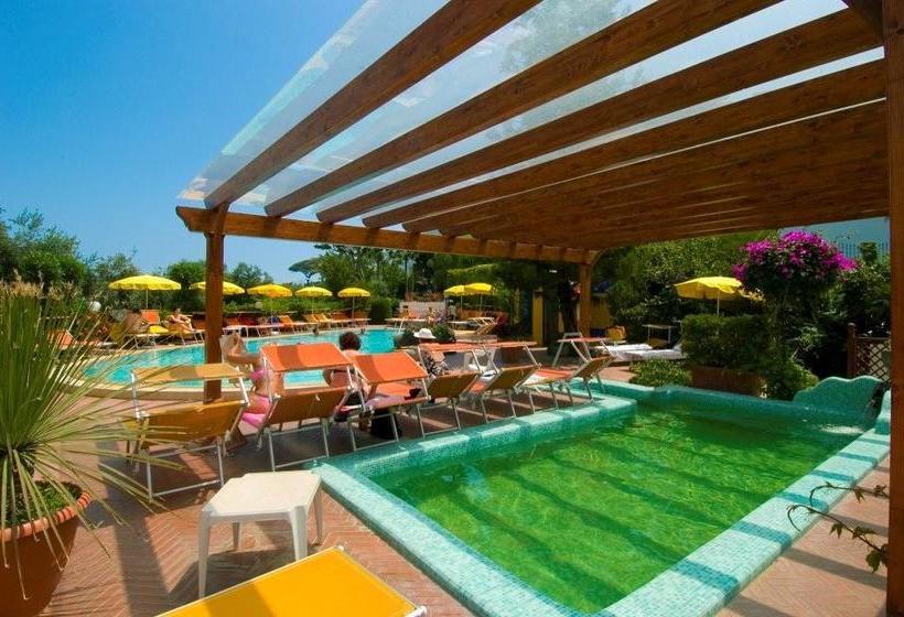 Hotel Villa Flavio  | Ischia | Napoli | Italia 3