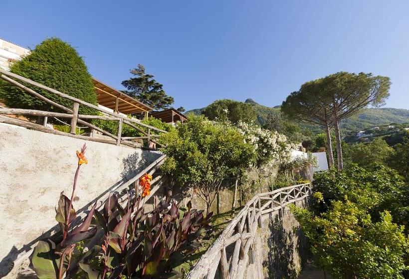 Hotel Villa Flavio  | Ischia | Napoli | Italia 9