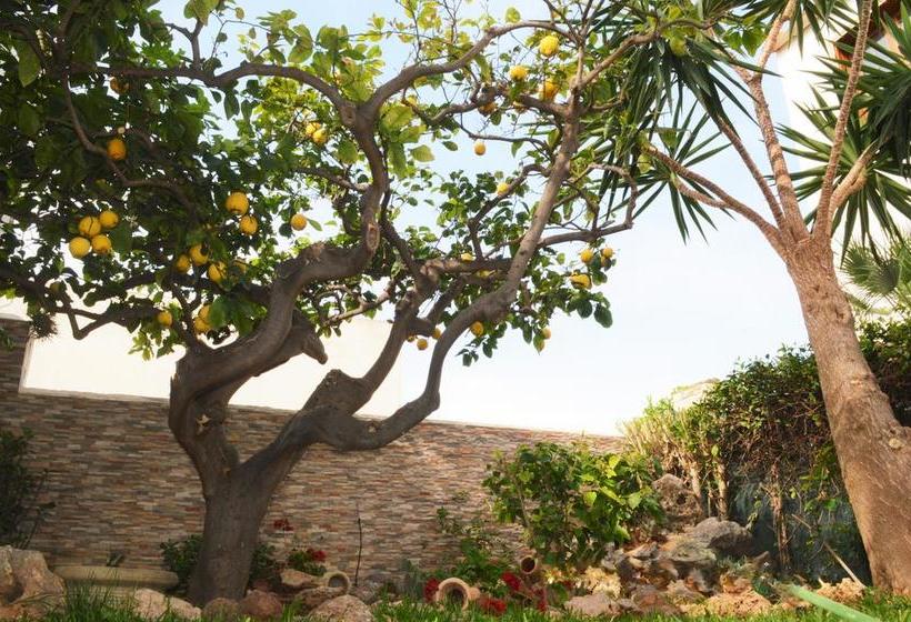 Bed and Breakfast Kimos  | San Vito lo Capo | Trapani | Italia 1