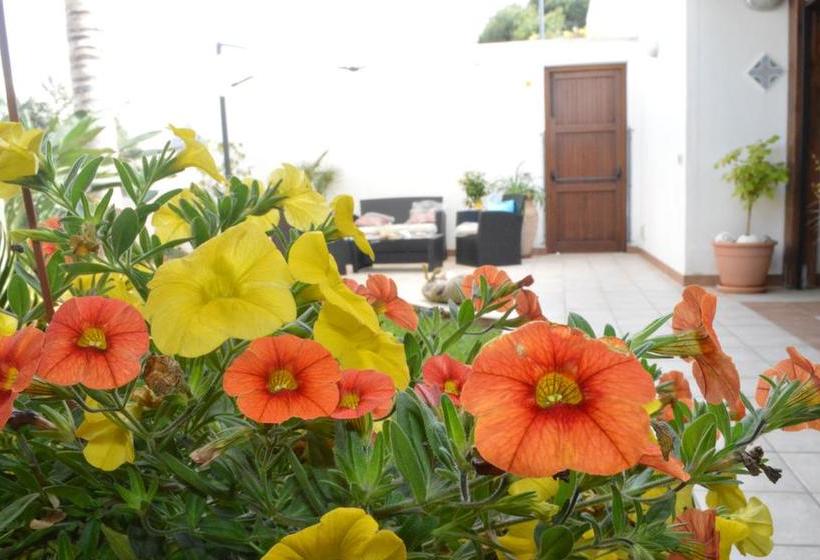 Bed and Breakfast Kimos  | San Vito lo Capo | Trapani | Italia 4
