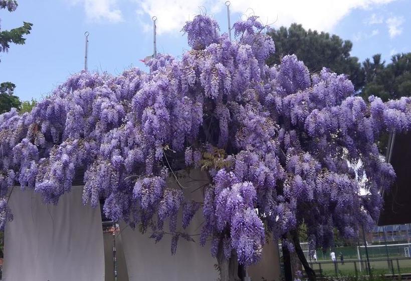 Bed and Breakfast Pixie Dixie & Moses Malone  | Bergamo | Bergamo | Italia 2