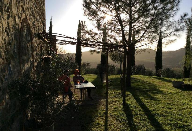 Bed and Breakfast Agriturismo Mariannino Cinigiano Grosseto