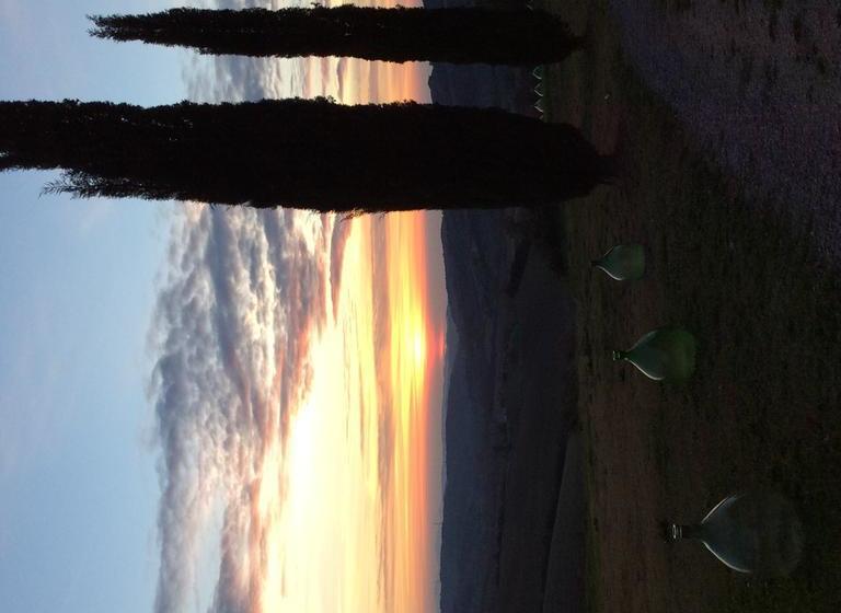 Bed and Breakfast Agriturismo Mariannino  | Cinigiano | Grosseto | Italia 3