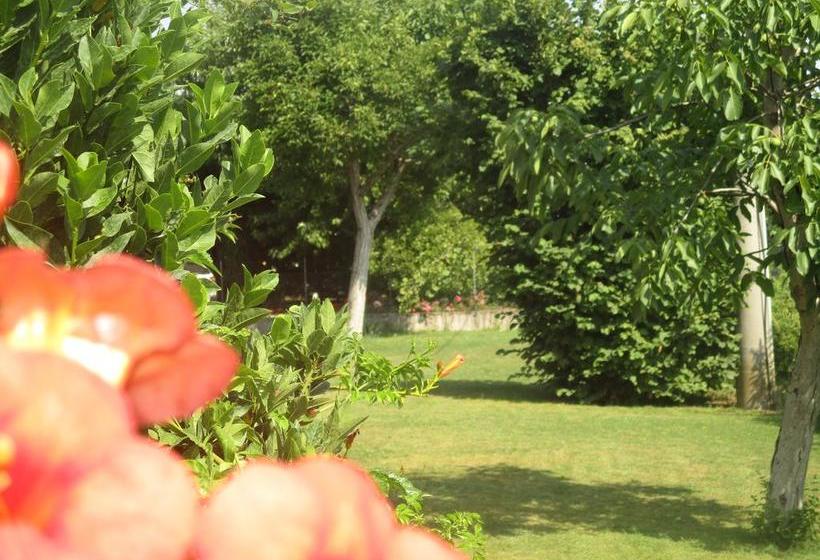 Bed and Breakfast La Zucchella  | Brescello | Reggio Emilia | Italia 12