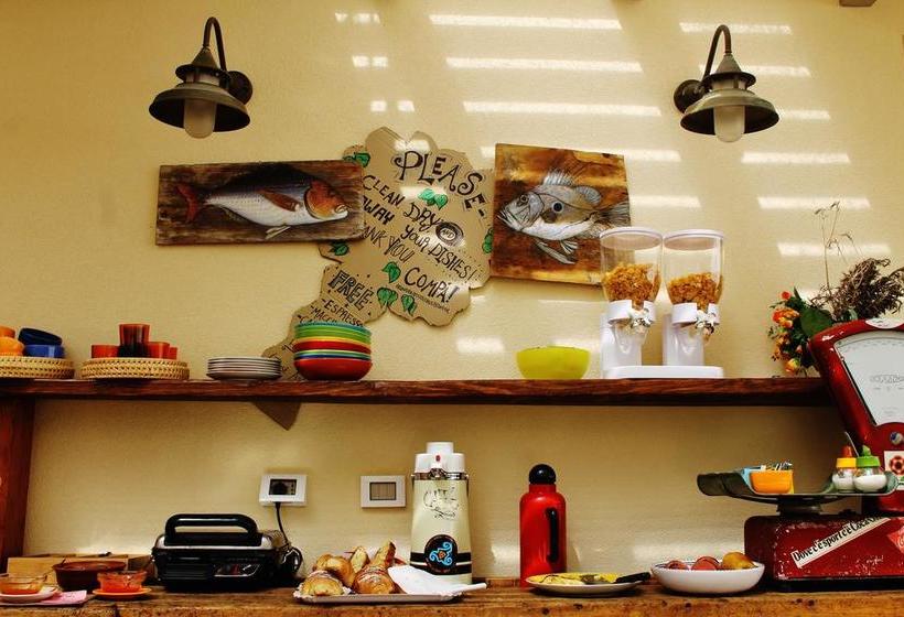 Timbuktu Hostel  | San Vito lo Capo | Trapani | Italia 1