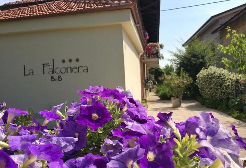 B&b La Falconera  | Torino | Torino | Italia 5