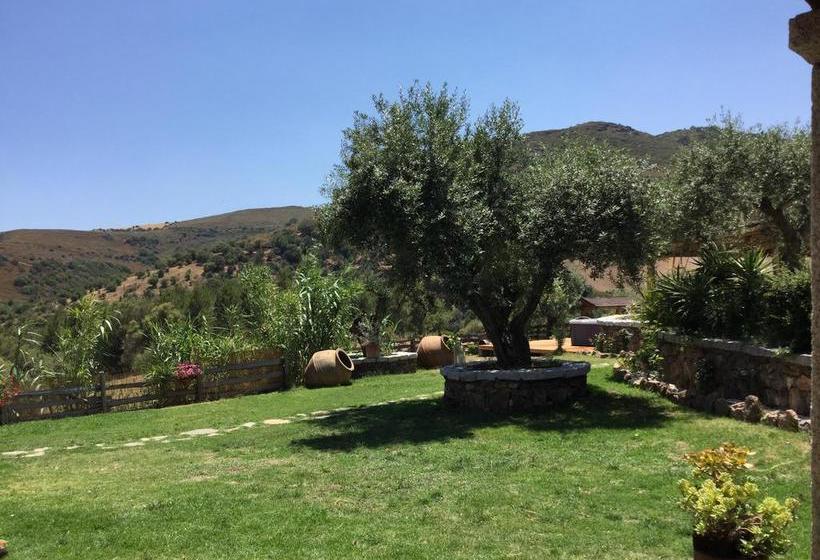 Bed and Breakfast Il Giardino Di Daniela  | San Teodoro | Sardegna | Italia 1