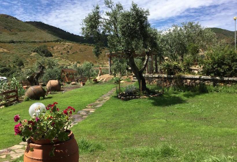 Bed and Breakfast Il Giardino Di Daniela  | San Teodoro | Sardegna | Italia 12