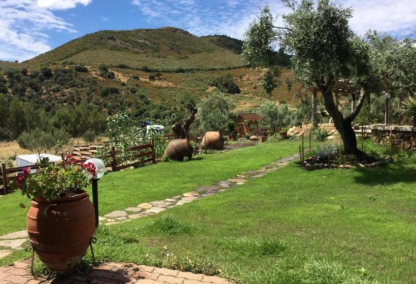 Bed and Breakfast Il Giardino Di Daniela  | San Teodoro | Sardegna | Italia 13