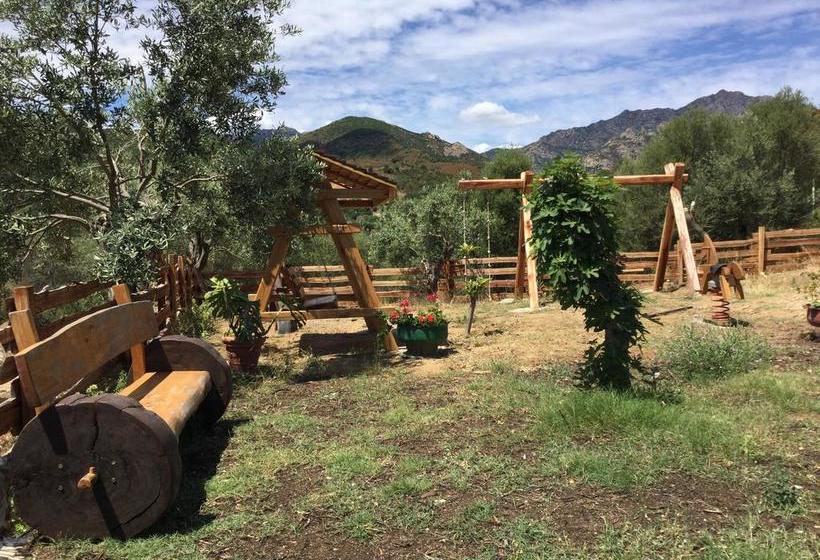 Bed and Breakfast Il Giardino Di Daniela  | San Teodoro | Sardegna | Italia 15