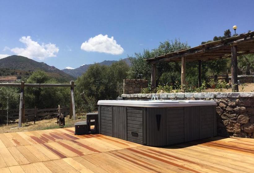 Bed and Breakfast Il Giardino Di Daniela  | San Teodoro | Sardegna | Italia 4