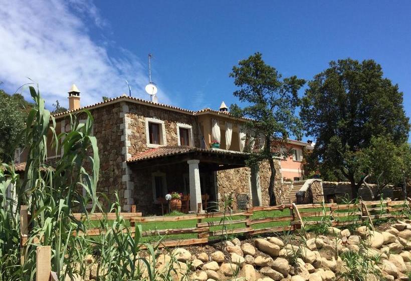 Bed and Breakfast Il Giardino Di Daniela  | San Teodoro | Sardegna | Italia 9